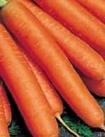 Морковь тушон